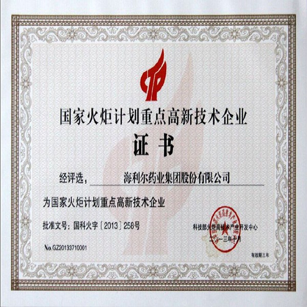 National Torch Program‚Äö√Ñ√¥s High-tech Enterprise