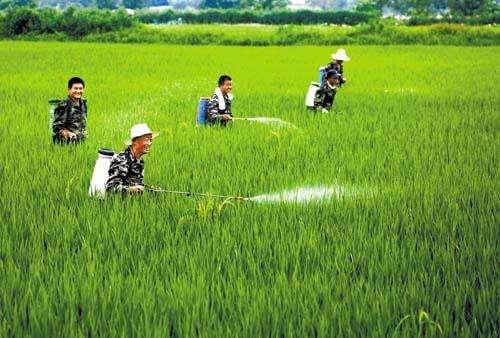 农资市场鱼龙混杂，抗性真的有宣传的那么严重吗？